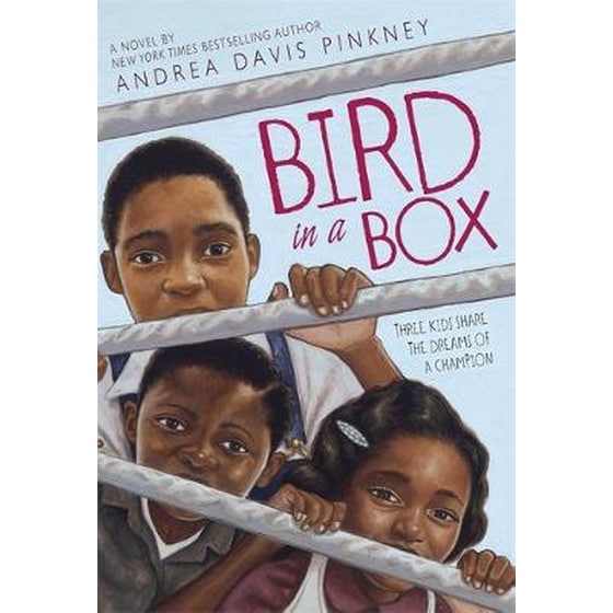 Bird In A Box image 0