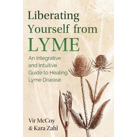 Liberating Yourself from Lyme : An Integrative and Intuitive Guide to Healing Lyme Disease image 0
