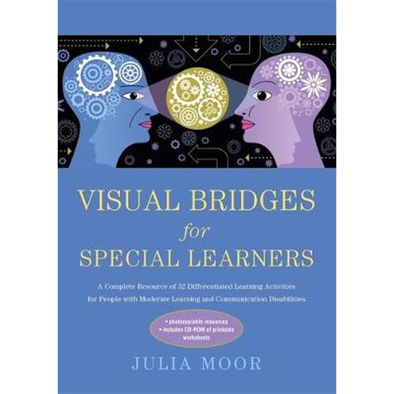 Visual Bridges for Special Learners image 0