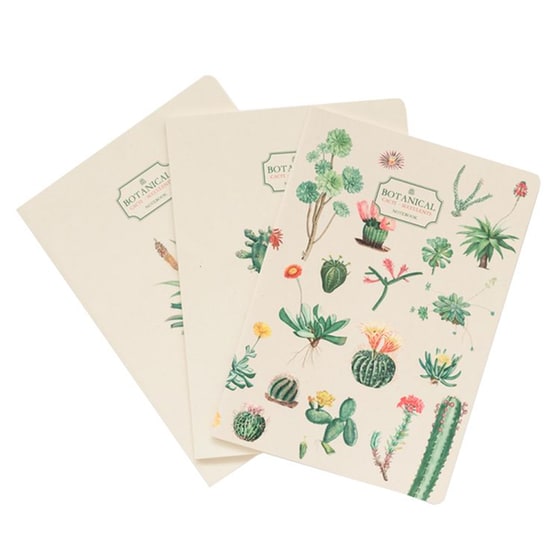 Σετ 3 Τετραδίων Α5 Botanical Cacti By Kokonote image 0