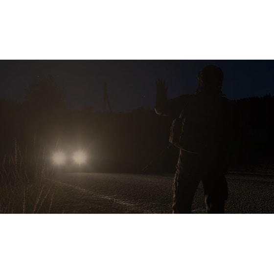DayZ - PS4 image 1