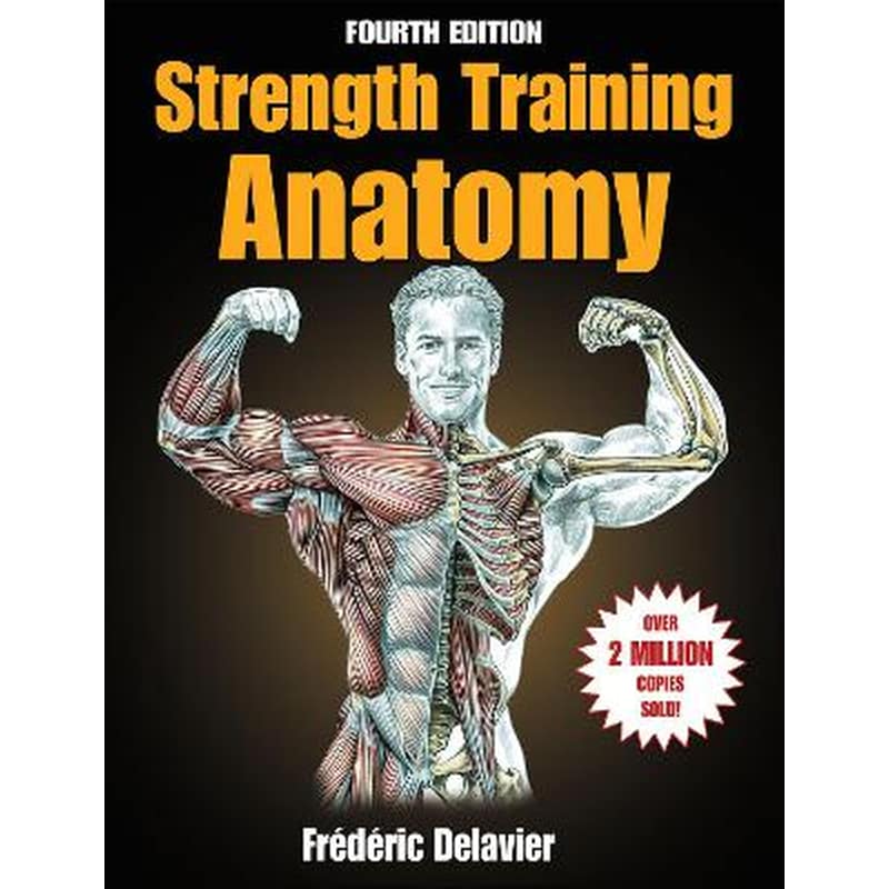 Strength Training Anatomy