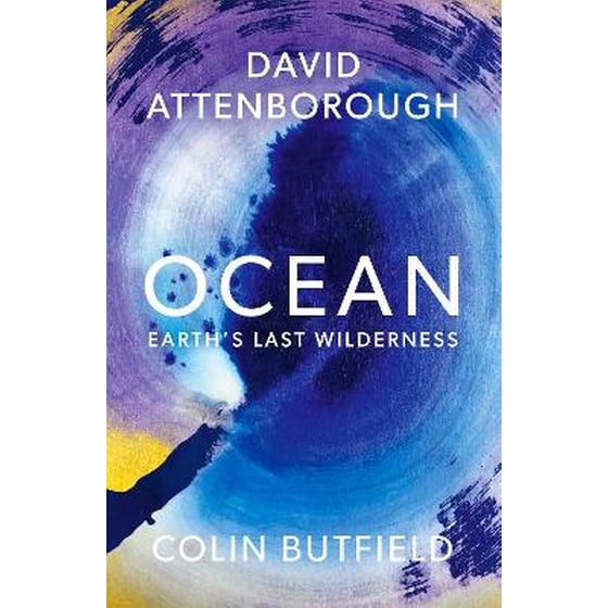 Ocean image 0