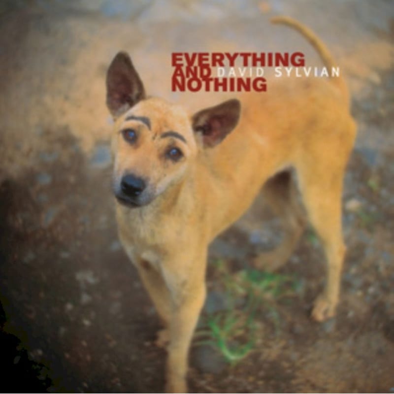 Everything Nothing (3LP)