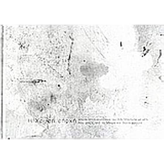 Η χρυσή εποχή και τα τοπία κενοτάφια του Ιλάν Μανουάχ με μέλι που στάζει από τα δέντρα και άγρια φρούτα image 0