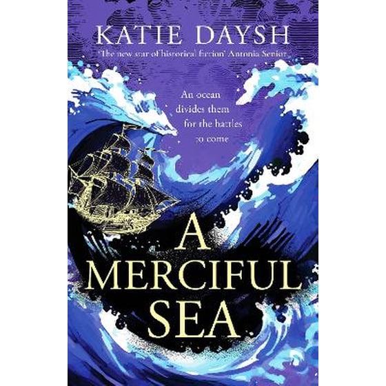 A Merciful Sea image 0