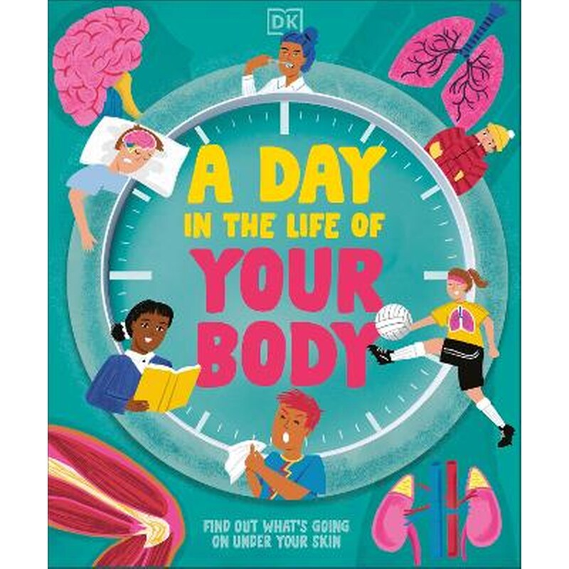 A Day in the Life of Your Body
