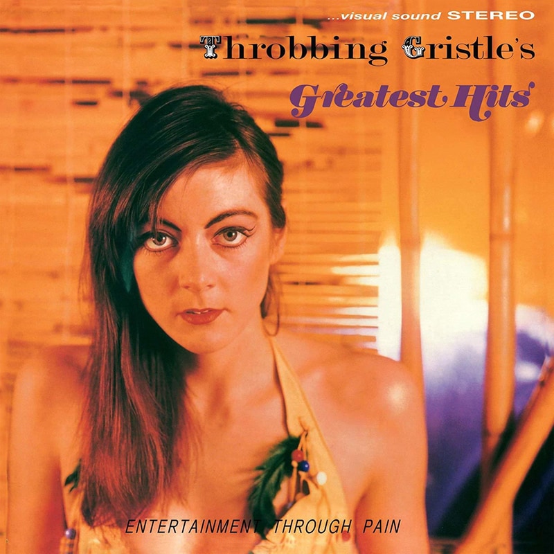 Greatest Hits (Entertainment Through Pain)