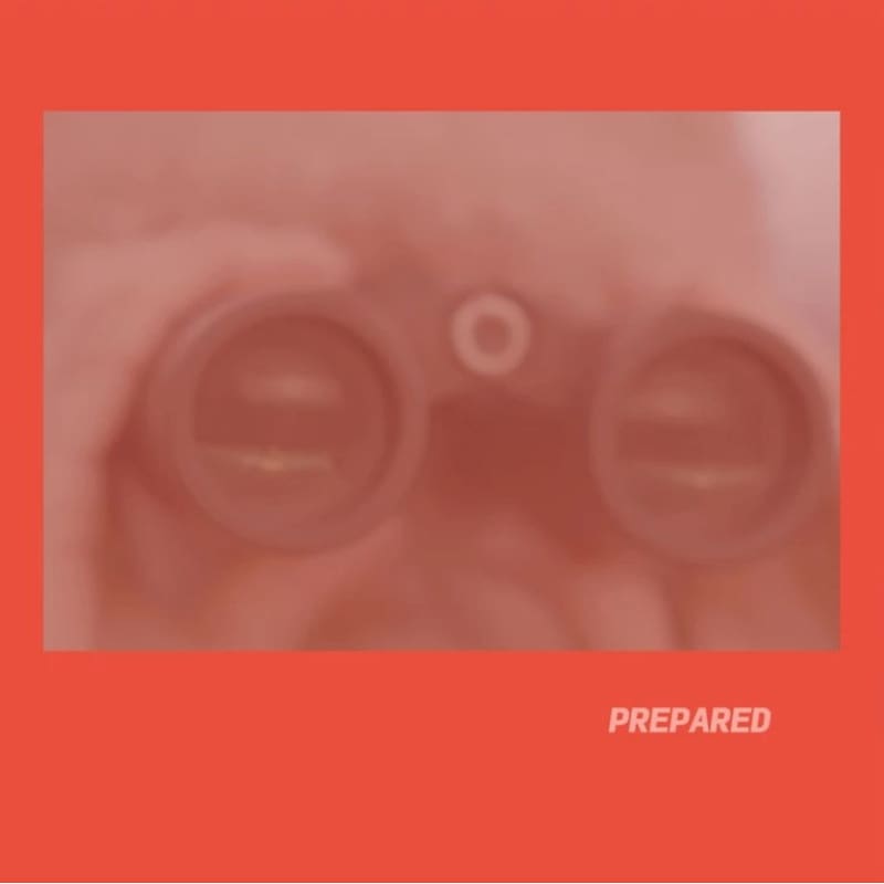 Prepared (Rose LP)