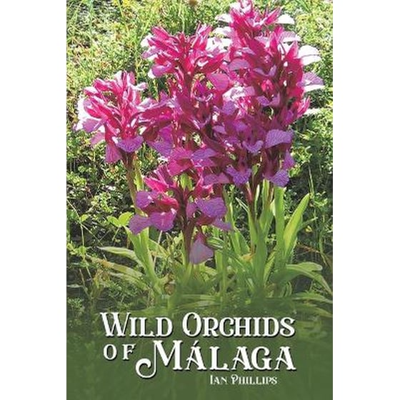 Wild Orchids of Malaga image 0