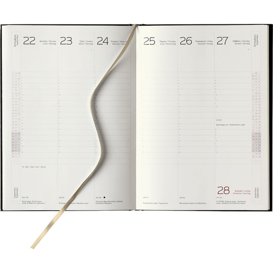 Ημερολόγιο Ημερήσιο 2026 Θεοφύλακτος 12M ParosGold Μαύρο image 1