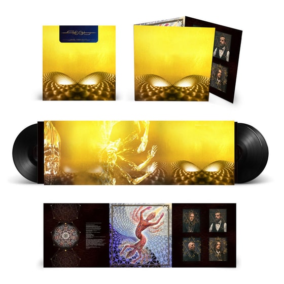 Fear Inoculum (3LP) image 3