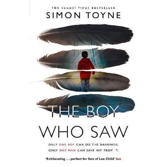 Boy Who Saw image 0