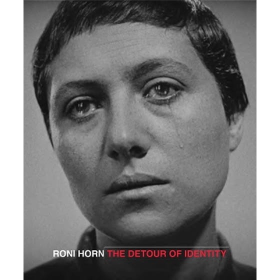Roni Horn: The Detour of Identity image 0
