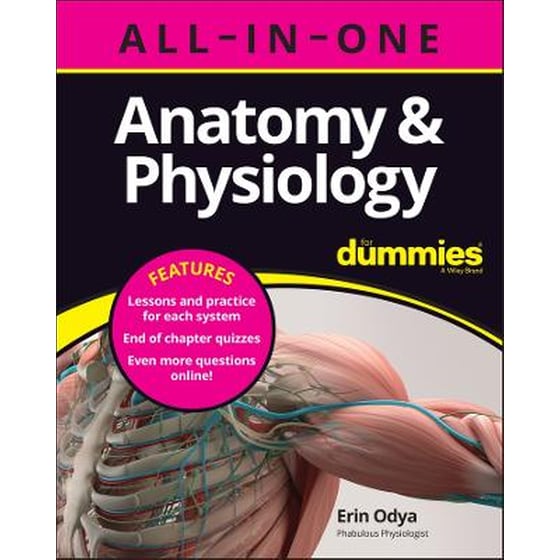 Anatomy & Physiology All-in-One For Dummies (+ Chapter Quizzes Online) image 0