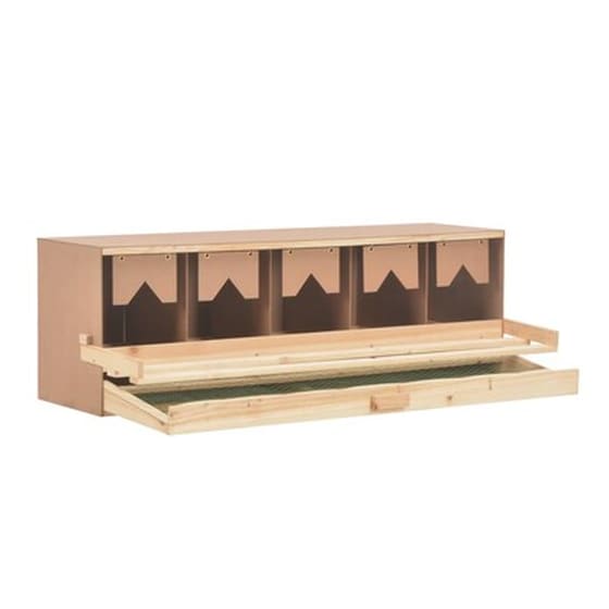 Vidaxl Φωλιά Για Κότες Με 5 Θέσεις 117x33x38 Εκ. Από Μασίφ Ξύλο Πεύκου image 5