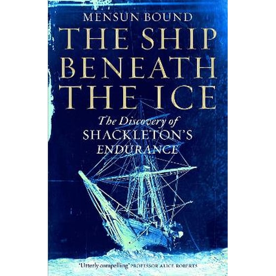 Ship Beneath the Ice image 0
