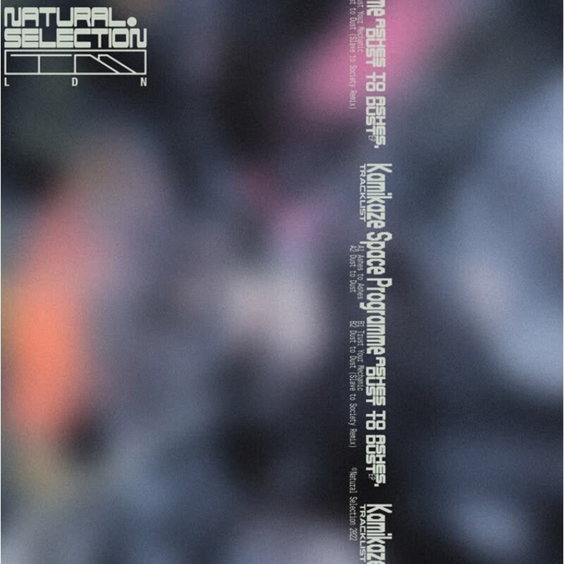 Ashes To Ashes, Dust To Dust Ep (LP 12)