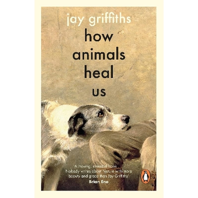 How Animals Heal Us