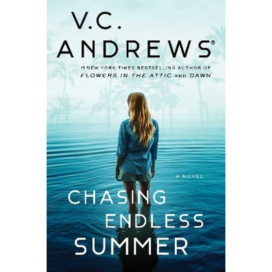 Chasing Endless Summer image 0