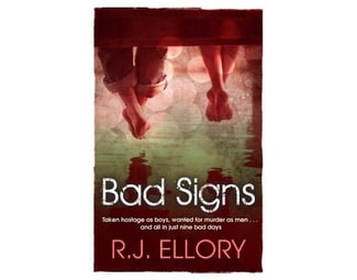 Bad Signs image 0