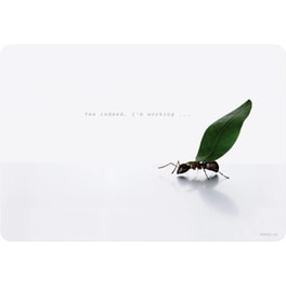Αυτοκόλλητα Φορητού SpeedLink SL-6280-U02 για Laptop 15"