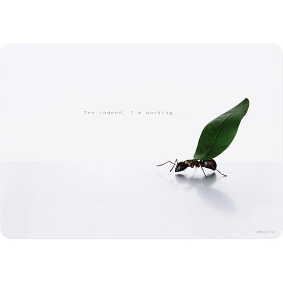 Αυτοκόλλητα Φορητού SpeedLink SL-6280-U02 για Laptop 15" image 0