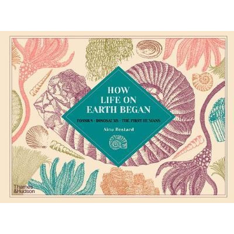 How Life on Earth Began