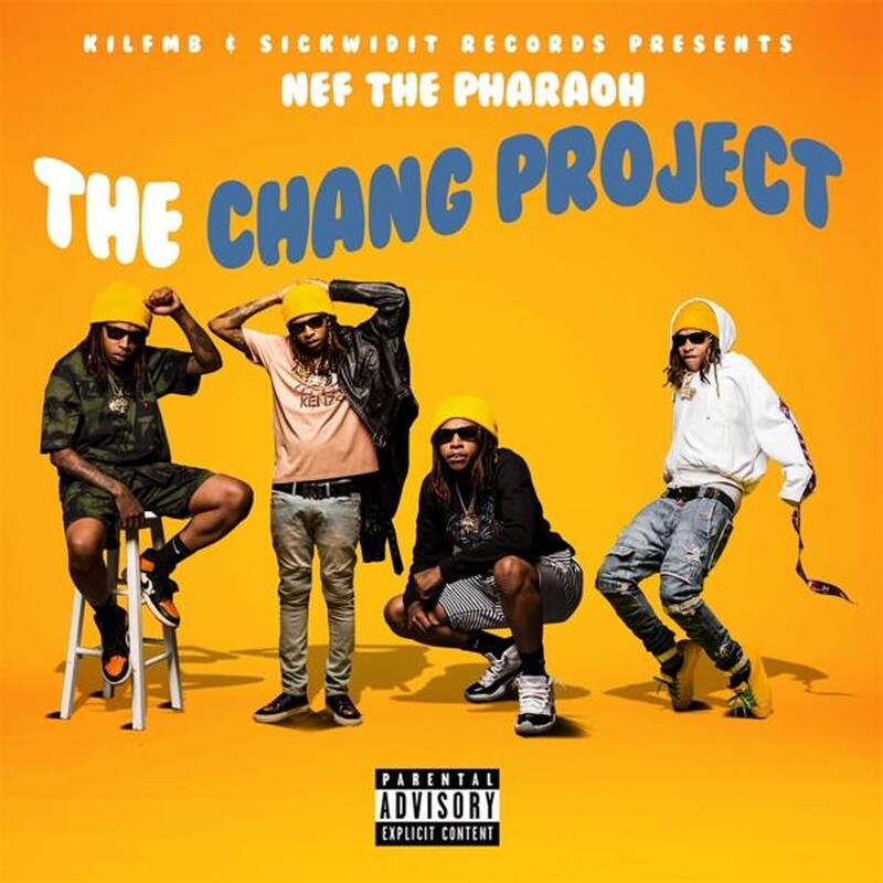 THE CHANG PROJECT