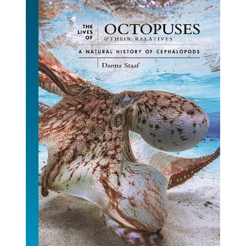 The Lives of Octopuses and Their Relatives