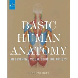 Basic Human Anatomy