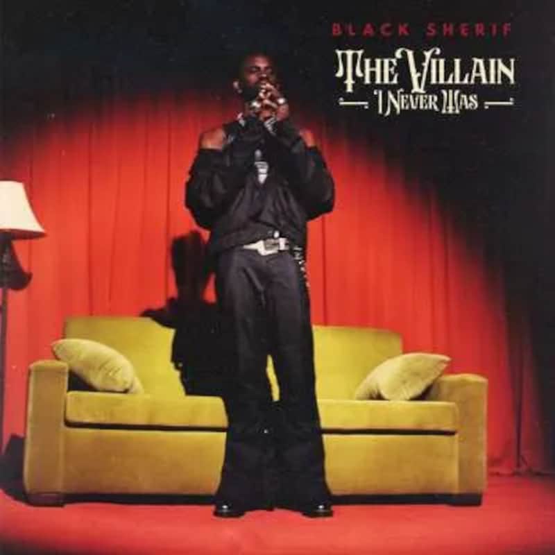 The Villain I Never Was (LP)