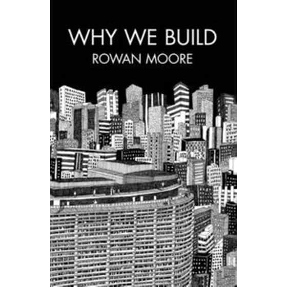 Why We Build image 0