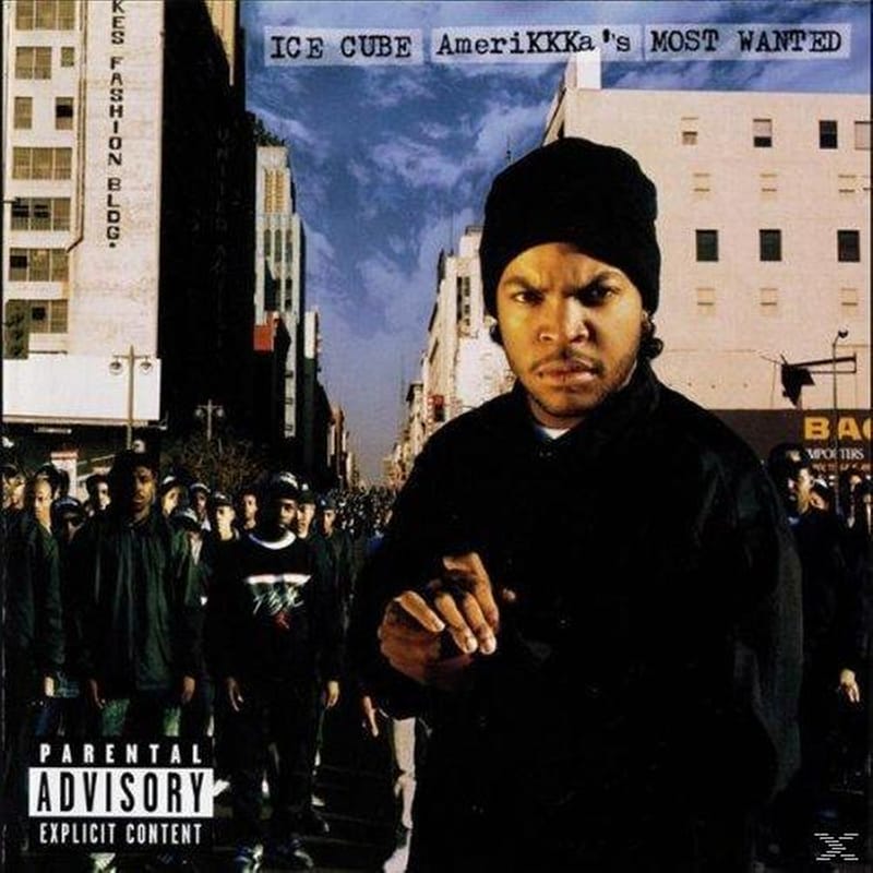 AMERIKKKAS MOST WANTED (LP)