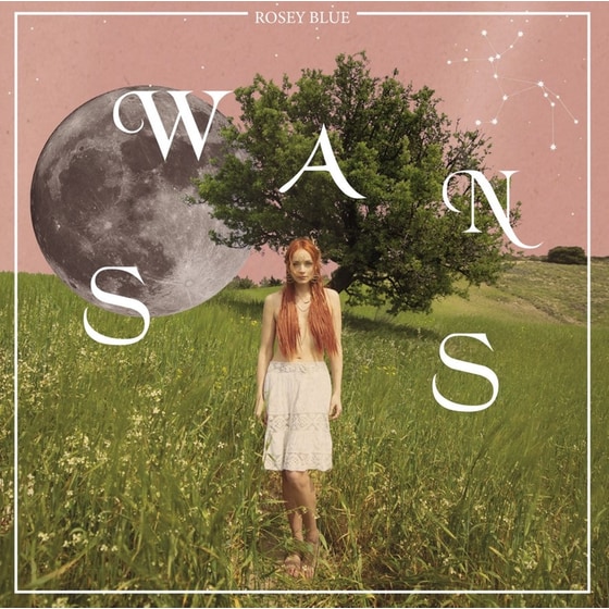 Swans image 0