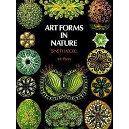 Art Forms in Nature