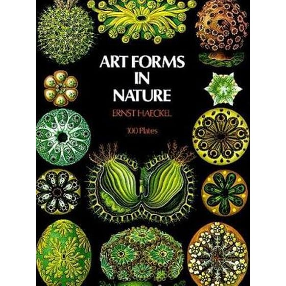 Art Forms in Nature image 0