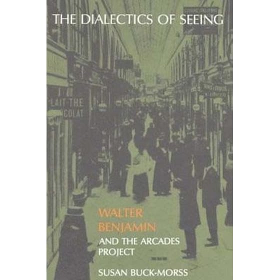Dialectics of Seeing image 0