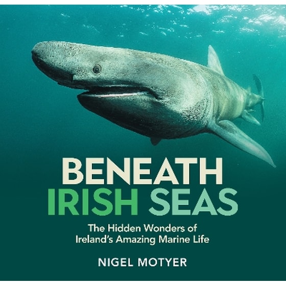 Beneath Irish Seas image 0
