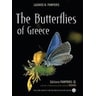 The Butterflies of Greece - Λάζαρος Παμπέρης | Public βιβλία