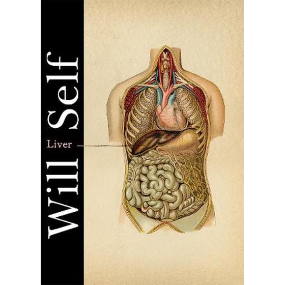 Liver image 0