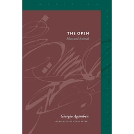 The Open