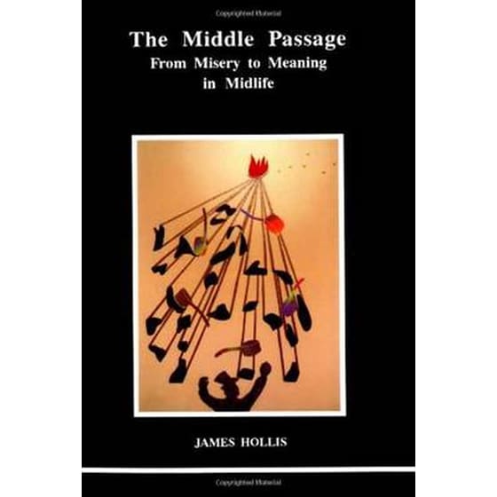 The Middle Passage image 0