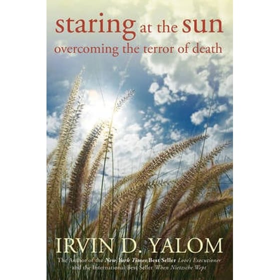 Staring at the Sun image 0