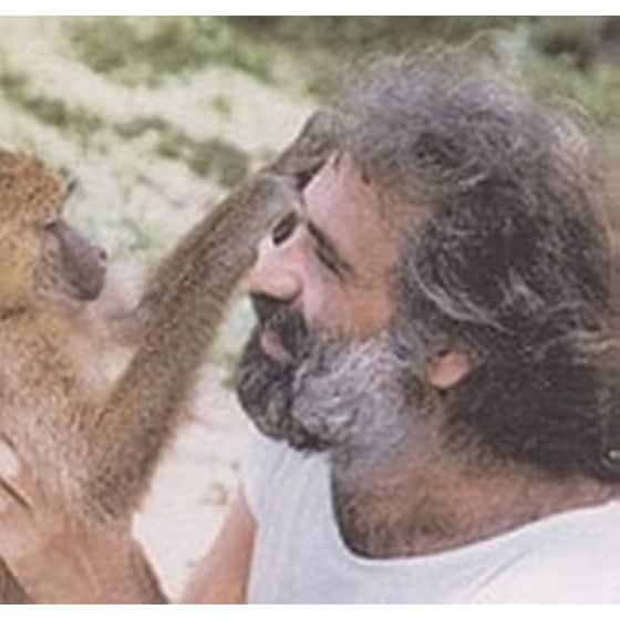 Ακολουθήστε τες image 1