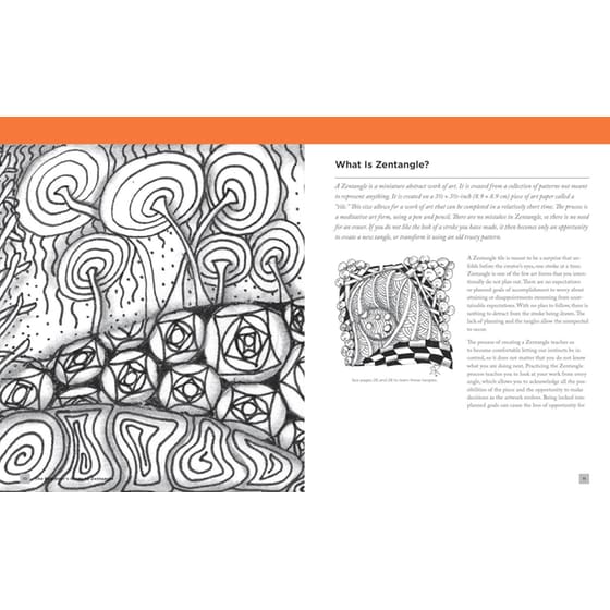 The Beginner's Guide to Zentangle image 1