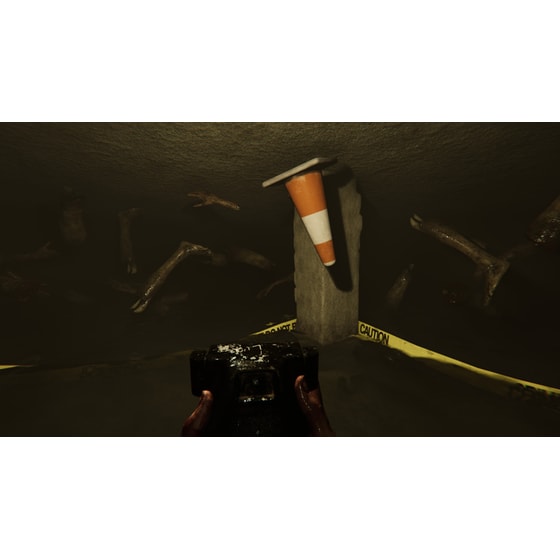 MADiSON Possessed Edition - PS4 image 2