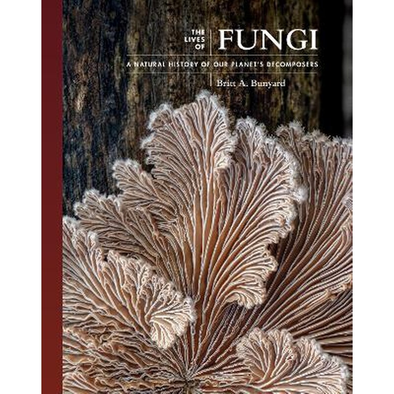 The Lives of Fungi