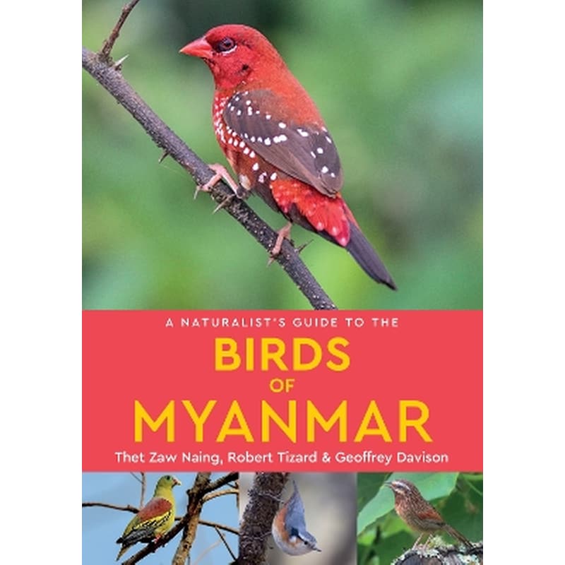A Naturalists Guide to the Birds of Myanmar