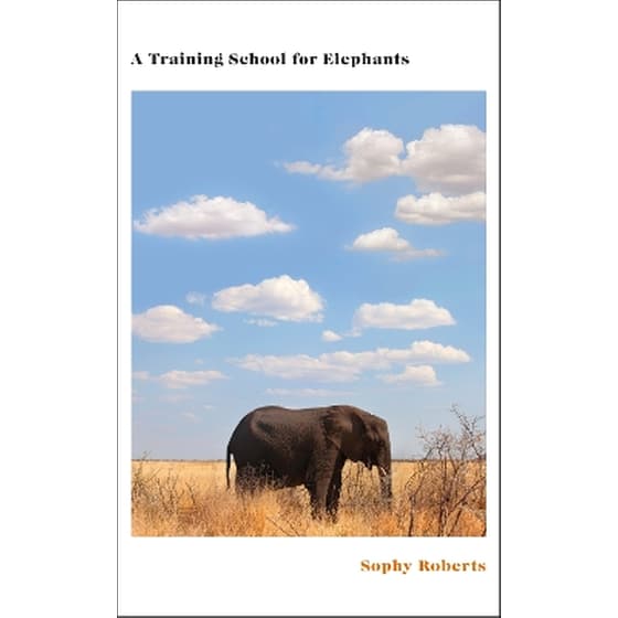 A Training School for Elephants image 0